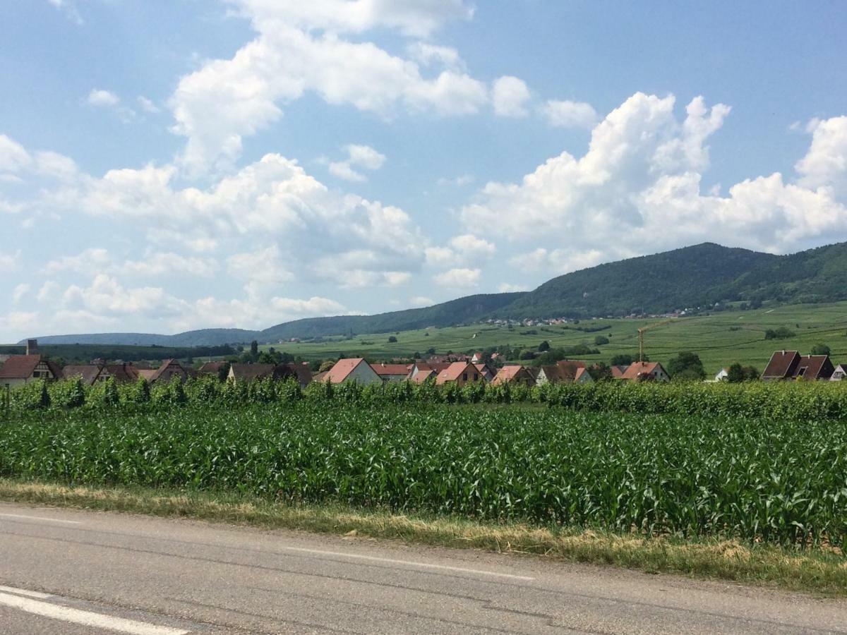 Gite "Smart'In" - Parking Offert Eguisheim Exterior foto